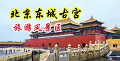 8X8X拨插拨插华人免费视频中国北京-东城古宫旅游风景区